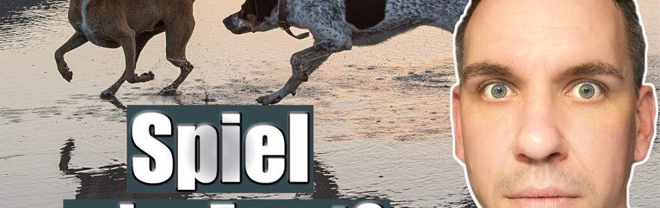 Infos-Hunde-richtig-lesen-lernen-Schau-genau-hin-Beitragsbild.jpg Infos-Hunde-richtig-lesen-lernen-Schau-genau-hin-Beitragsbild.jpg
