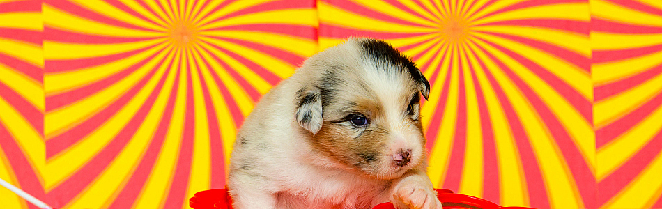 Phoebe-Arthur-Neues-Fotos-Beitragsbild.jpg Phoebe-Arthur-Neues-Fotos-Beitragsbild.jpg