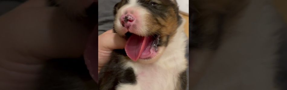 Harper-Sparrow-13-Tage-Loki-Beitragsbild.jpg Harper-Sparrow-13-Tage-Loki-Beitragsbild.jpg