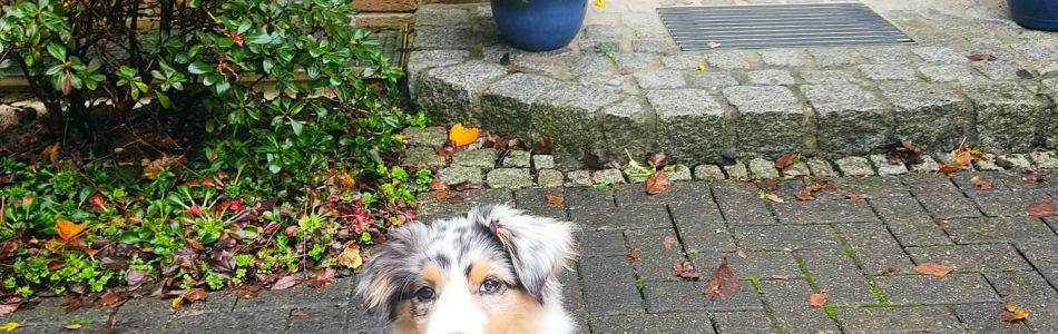Lotti-suess-kann-sie-Beitragsbild.jpg Lotti-suess-kann-sie-Beitragsbild.jpg