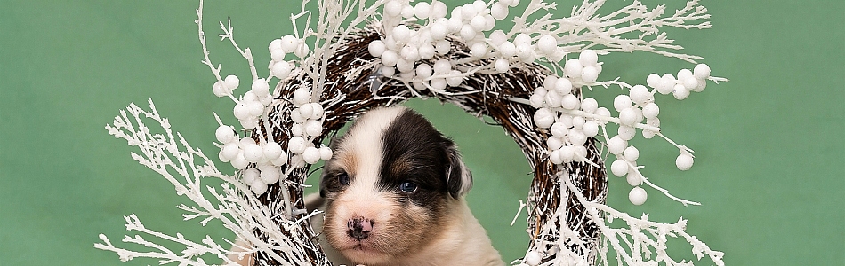 Phoebe-Koda-3-Wochen-Fotos-Beitragsbild.jpg Phoebe-Koda-3-Wochen-Fotos-Beitragsbild.jpg