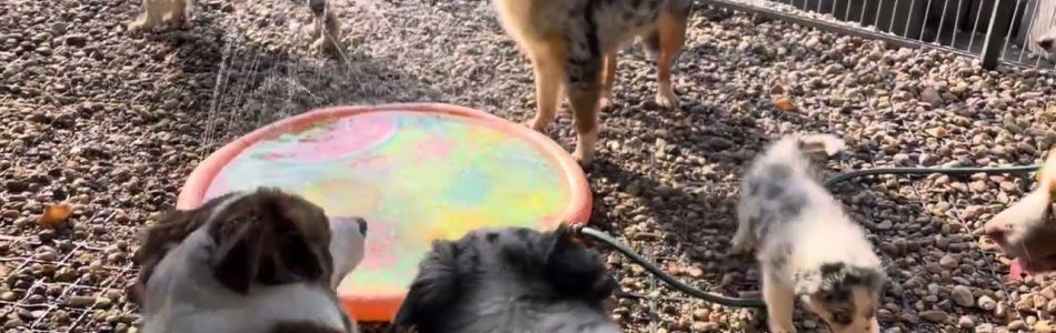 Lucy-Fynn-Neue-Spielsachen-Teil-2-Beitragsbild.jpg Lucy-Fynn-Neue-Spielsachen-Teil-2-Beitragsbild.jpg