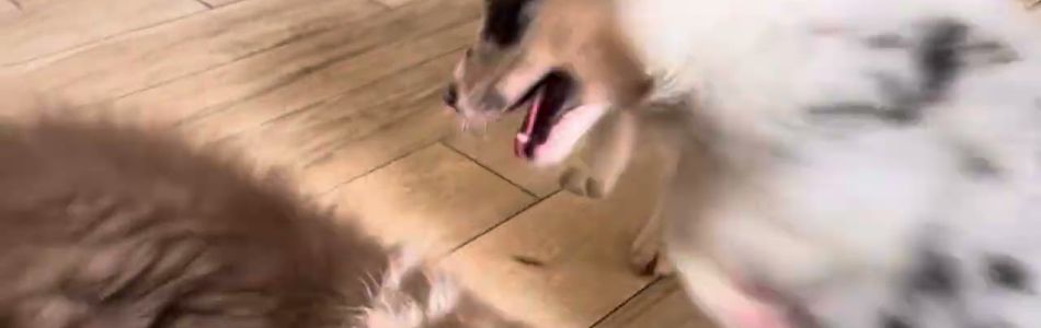 Lucy-Fynn-Warten-wir-auf-Besuch-Beitragsbild.jpg Lucy-Fynn-Warten-wir-auf-Besuch-Beitragsbild.jpg