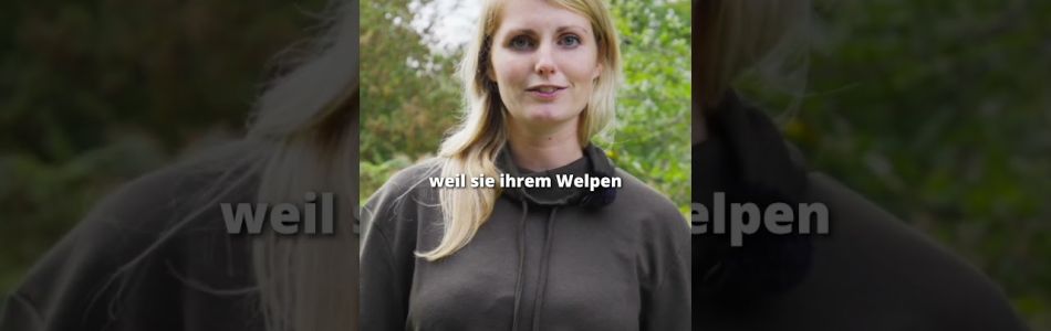 Infos-Der-HAeUFIGSTE-Fehler-mit-Welpen-Beitragsbild.jpg Infos-Der-HAeUFIGSTE-Fehler-mit-Welpen-Beitragsbild.jpg