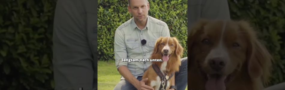 Infos-Hund-beruhigen-So-NICHT-Beitragsbild.jpg Infos-Hund-beruhigen-So-NICHT-Beitragsbild.jpg