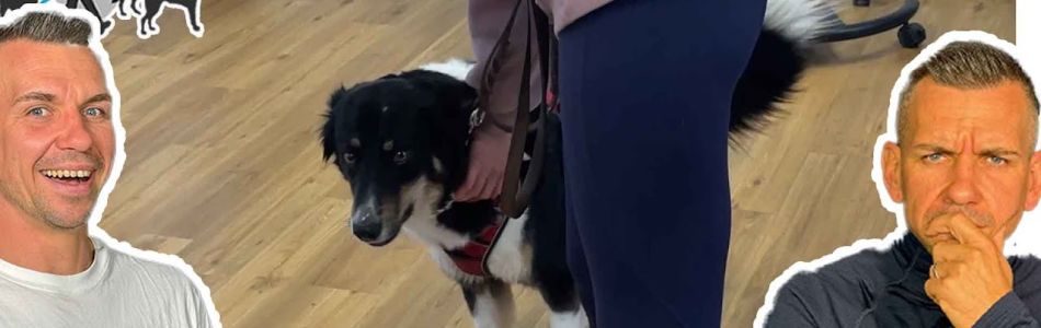 Infos-Da-MUSST-du-fuer-deinen-Hund-UeBERNEHMEN-Kundenstimmen-und-Training-9-Beitragsbild.jpg