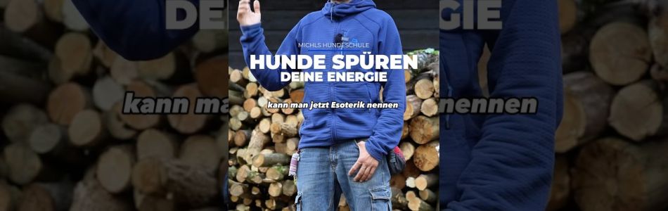 Infos-Hunde-spueren-deine-Energie-hundetraining-welpen-entspannen-Beitragsbild.jpg