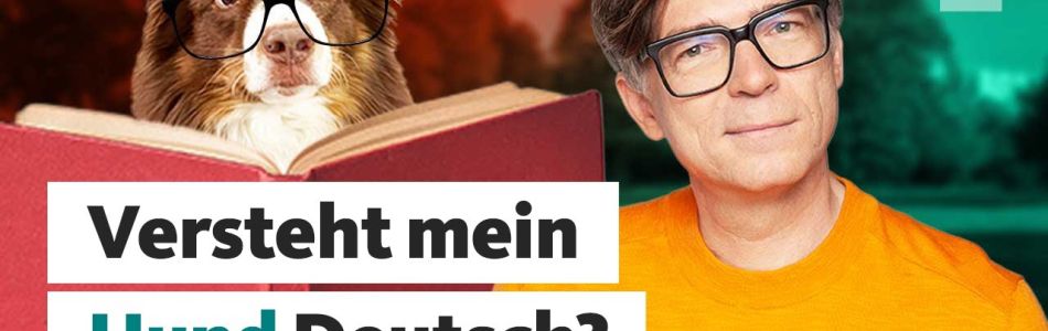 Infos-Koennen-Hunde-unsere-Sprache-verstehen-Quarks-Dimension-Ralph-Beitragsbild.jpg Infos-Koennen-Hunde-unsere-Sprache-verstehen-Quarks-Dimension-Ralph-Beitragsbild.jpg