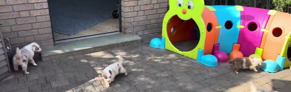 Cally-Tony-Willkommen-im-spieleparadis-Beitragsbild.jpg