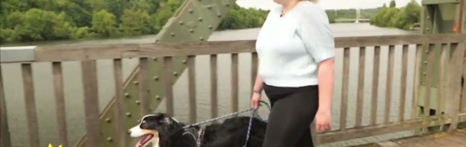 Infos-Ein-Australien-Shepherd-der-keine-Ruhe-finden-kann-und-Aggressives-Verhalten-zeigt-.-Hundetraining-Beitragsbild.jpg
