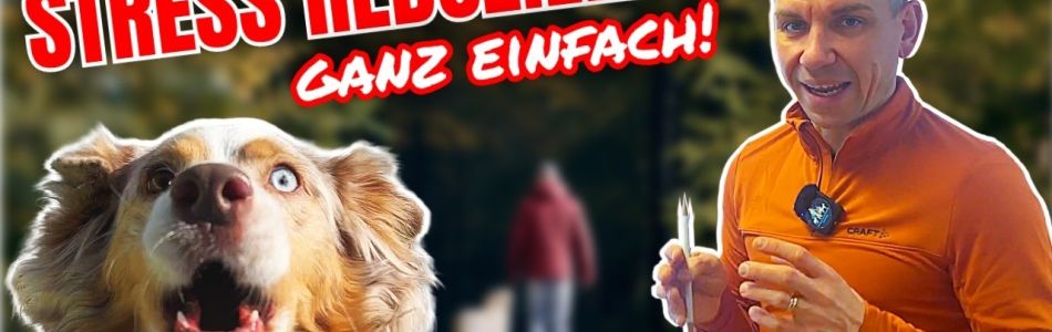 Infos-DIESE-METHODE-UM-STRESS-ZU-REDUZIEREN-Beitragsbild.jpg