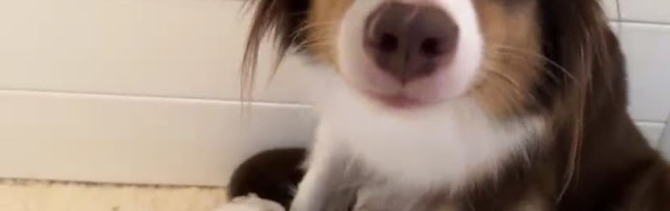 Lotte-Oz-Saeugen-Beitragsbild.jpg Lotte-Oz-Saeugen-Beitragsbild.jpg