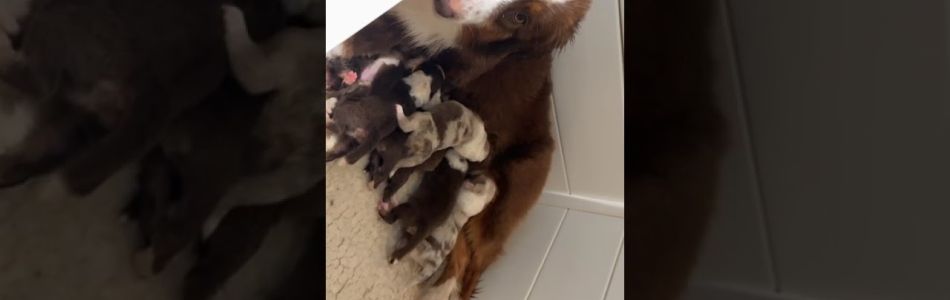 Caly-Oz-Caly-Babys-wachsen-Beitragsbild.jpg